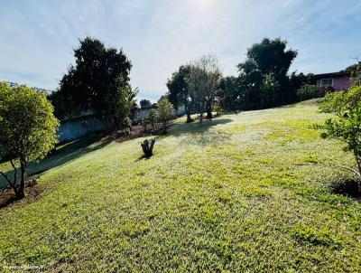 Terreno para Venda, em Jarinu, bairro Campo Realengo