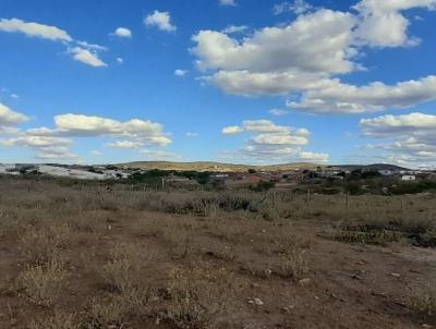 Terreno para Venda, em Currais Novos, bairro Candelria