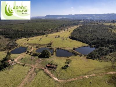 Fazenda para Venda, em Botucatu, bairro REGIO DE BOTUCATU