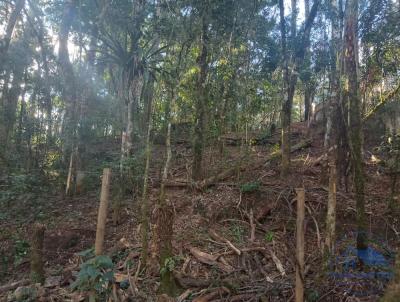 Terreno para Venda, em Campos do Jordo, bairro Alto da Boa Vista