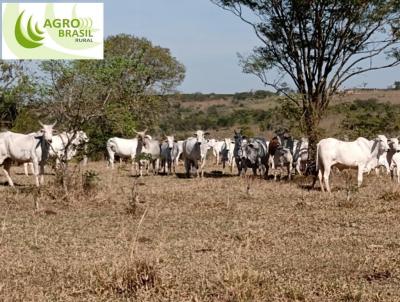 Stio para Venda, em Anhembi, bairro Zona Rural de Anhembi