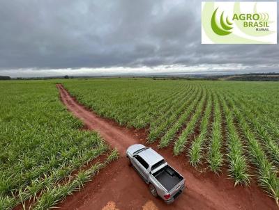 Fazenda para Venda, em Avar, bairro Regio de Avar-SP