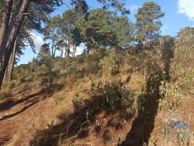 Terreno para Venda, em Campos do Jordo, bairro Colinas do Imbiri
