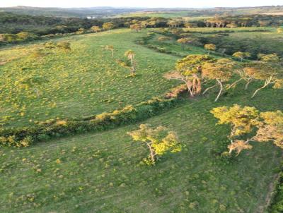 Terreno para Venda, em Itaguara, bairro zona rural