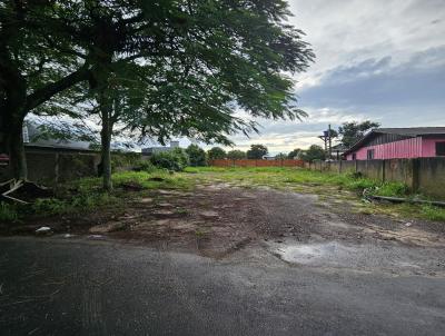 Terreno para Venda, em Osrio, bairro Pitangas