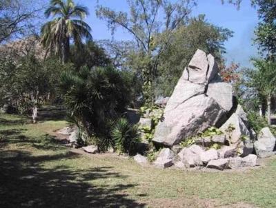 Ilha para Venda, em So Gonalo, bairro Itaoca, 6 dormitrios, 3 banheiros