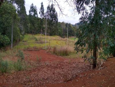 Chcara para Venda, em Francisco Beltro, bairro KIBEBE