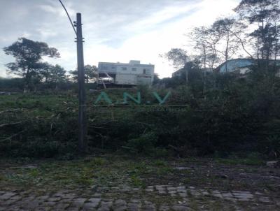 Terreno para Venda, em Caxias do Sul, bairro Desvio Rizzo