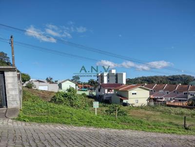 Terreno para Venda, em Caxias do Sul, bairro Desvio Rizzo