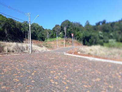 Terreno Comercial para Venda, em Francisco Beltro, bairro AGUA BRANCA