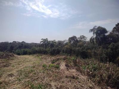 Chcara para Venda, em Balsa Nova, bairro Rinco Mirim