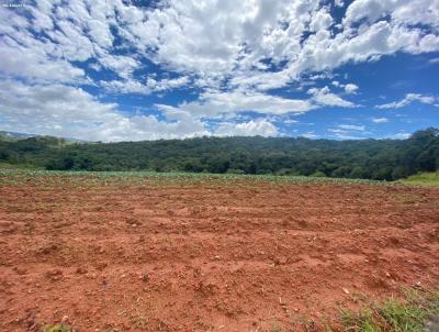 Fazenda para Venda, em Senador Amaral, bairro RURAL, 2 dormitrios, 1 banheiro, 4 vagas