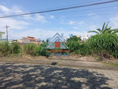 Terreno para Venda, em Perube, bairro Belmira Novaes