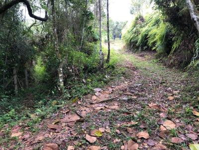 Chcara para Venda, em Governador Celso Ramos, bairro Jordo