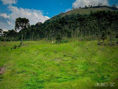 Chcara para Venda, em Urubici, bairro Jararaca