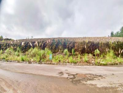 Terreno para Venda, em Farroupilha, bairro Linha Julieta