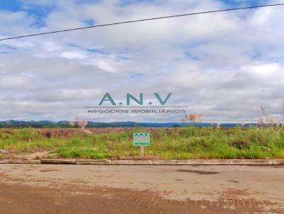 Terreno para Venda, em Farroupilha, bairro Linha Julieta