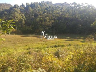 Terreno para Venda, em Canelinha, bairro Moura