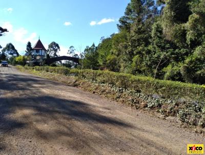 Terreno para Venda, em Nova Petrpolis, bairro Linha Imperial