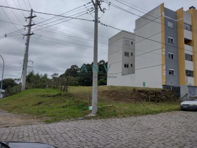 Terreno para Venda, em Caxias do Sul, bairro So Luiz da 6 Lgua