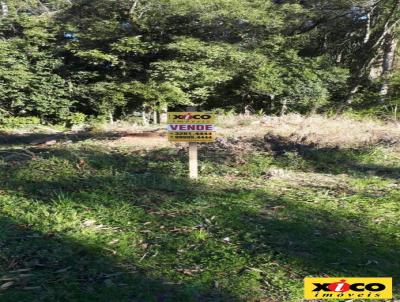 Terreno para Venda, em Nova Petrpolis, bairro Linha Imperial