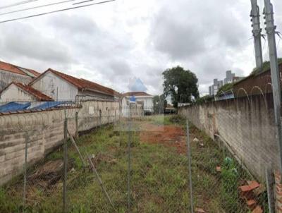 Terreno para Locao, em So Paulo, bairro Cidade Vargas