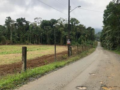 Terreno para Venda, em Joinville, bairro Pirabeiraba