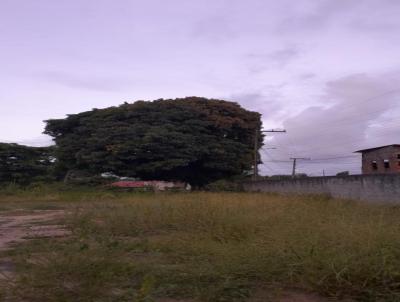 Terreno para Venda, em Salvador, bairro Cassange