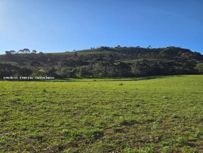 rea Rural para Venda, em Baro de Cotegipe, bairro Interior