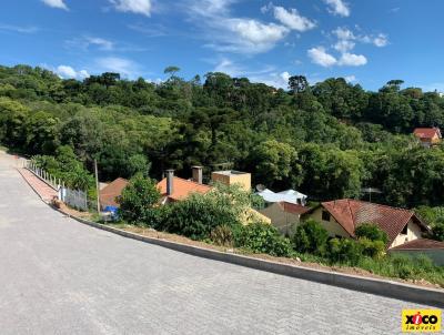 Terreno para Venda, em Nova Petrpolis, bairro Logradouro