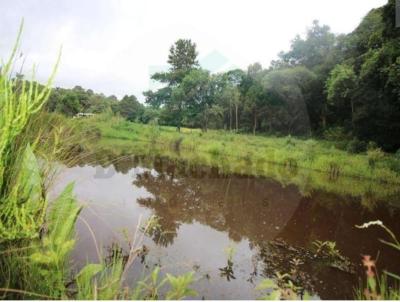 Chcara para Venda, em Mandirituba, bairro Zona Rural, 3 dormitrios, 2 banheiros, 2 vagas