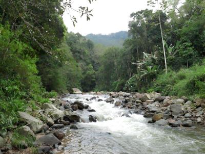 Chcara para Venda, em So Bento do Sul, bairro rea Rural de So Bento do Sul, 3 dormitrios, 1 banheiro