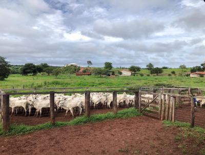 Fazenda para Venda, em Goiatins, bairro Zona Rural