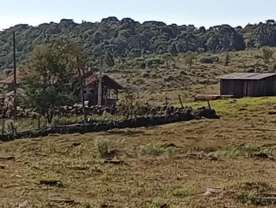 Terreno Rural para Venda, em So Jos do Cerrito, bairro .