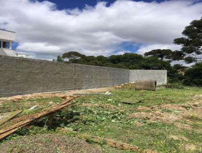 Terreno para Venda, em Lages, bairro Sagrado Corao de Jesus