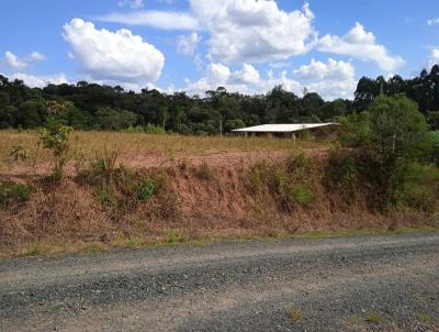 Terreno para Venda, em So Bento do Sul, bairro Serra Alta