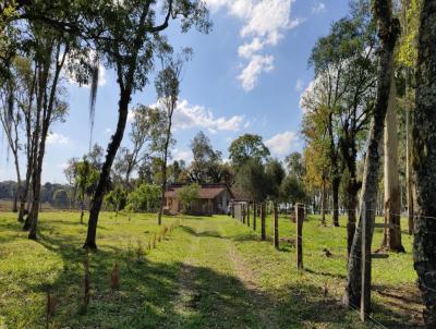 Chcara para Venda, em Mafra, bairro rea Rural de Mafra, 3 dormitrios, 1 banheiro, 1 vaga