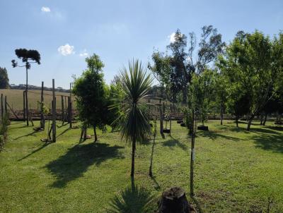 Ch�cara para Venda, em Mafra, bairro �rea Rural de Mafra, 3 dormit�rios, 1 banheiro, 1 vaga