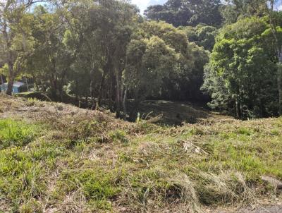 Terreno para Venda, em So Bento do Sul, bairro Centro