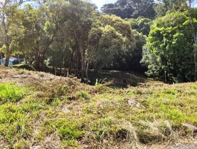 Terreno para Venda, em S�o Bento do Sul, bairro Centro
