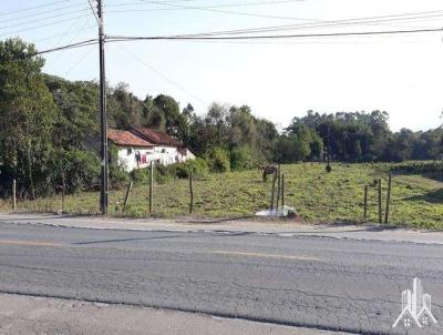 Terreno para Venda, em Joinville, bairro Pirabeiraba (Pirabeiraba)