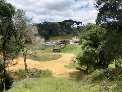 Chcara para Venda, em So Bento do Sul, bairro Lenol, 3 dormitrios, 1 banheiro, 1 vaga