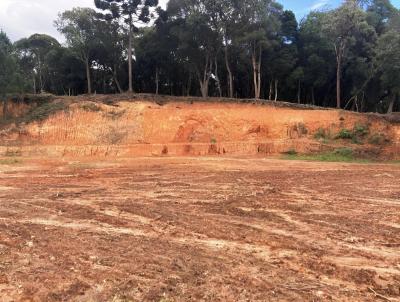 Terreno para Venda, em So Bento do Sul, bairro Alpino