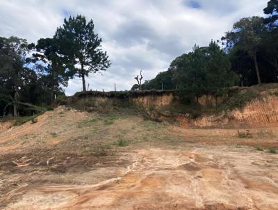 Terreno para Venda, em S�o Bento do Sul, bairro Alpino