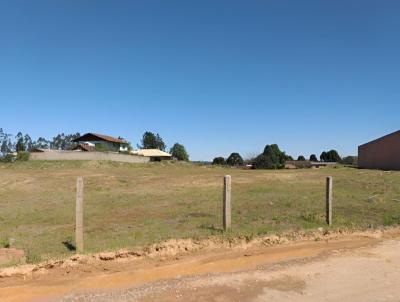 Terreno para Venda, em So Bento do Sul, bairro Serra Alta