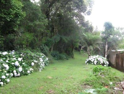 Terreno para Venda, em S�o Bento do Sul, bairro Centro