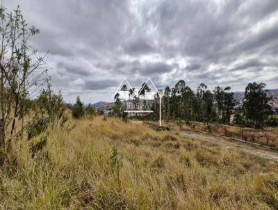 Lote para Venda, em Oliveira, bairro Euclides Ribeiro