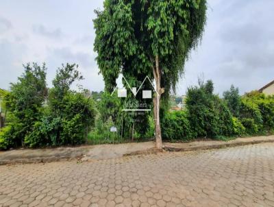 Lote para Venda, em Oliveira, bairro Rosrio