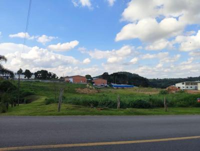 Terreno para Venda, em So Bento do Sul, bairro Rio Negro