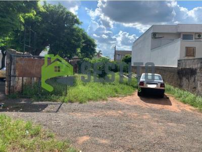 Terreno para Venda, em Catanduva, bairro Centro